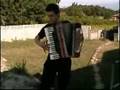 Akordion Faslı