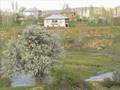 Mehmetbey